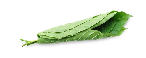 Buy green maeng da kratom strains