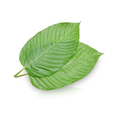 Bentuangie Kratom Leaf For Sale