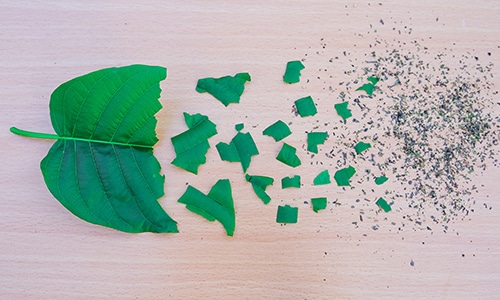 Buy Green Vein Crushed Leaf Kratom
