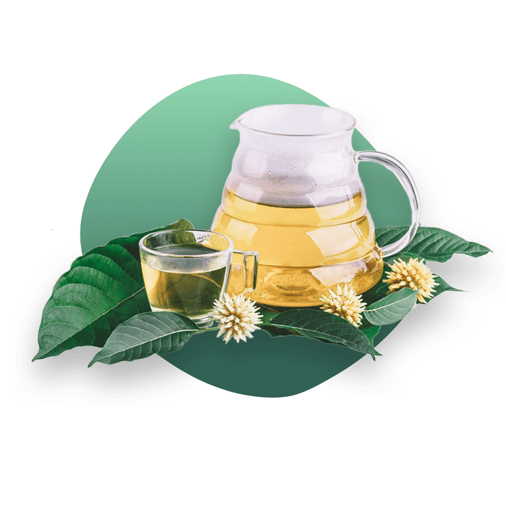 How to make Kratom Tea with Crushed leaf
