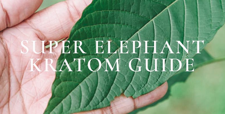 Super Elephant Kratom Guide Effects and More