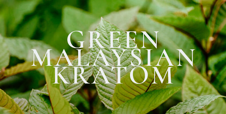 Green Malaysian Kratom Powder